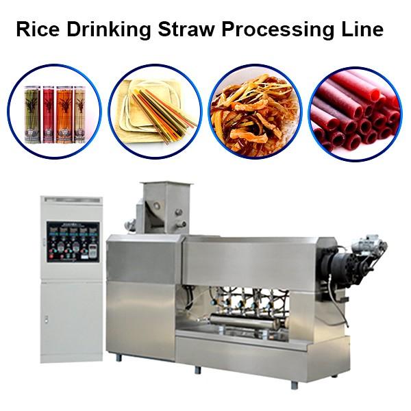 Edible Eco Friendly 100-150kg/H Best Quality Rice Making Drinking Straw Machine Pasta Straw Extruder