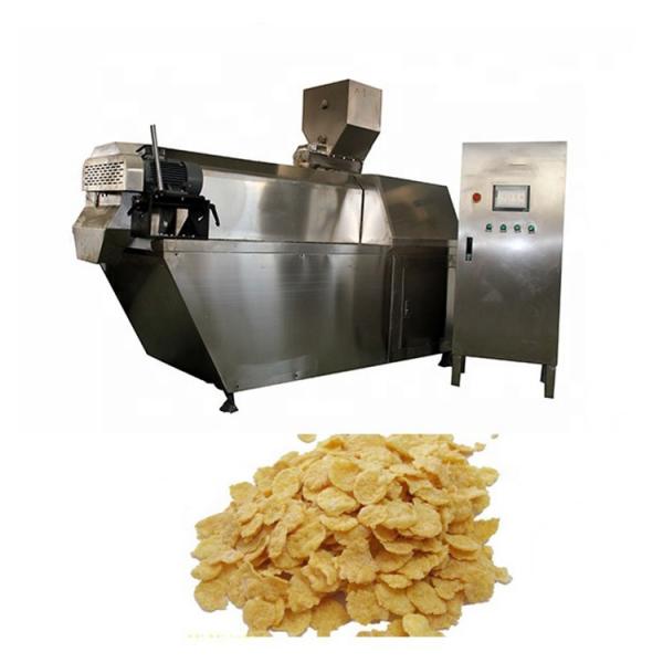 Machine for Corn Maize Flakes Dryer Extrusion Production Line Price