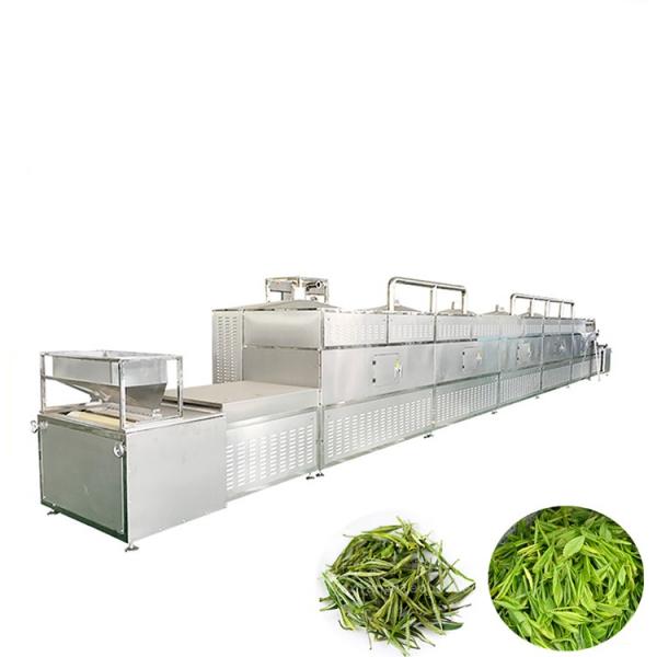 Drying Machine for Fruit Vegetable and Spice Dryer Machine Freeze Dryer Price